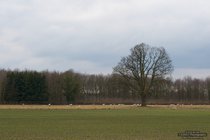ADL_060872