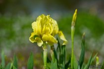 ADL_022728