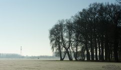 ADL_007877