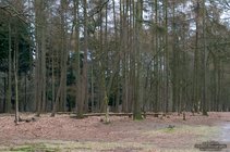 ADL_060941