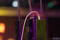 APL_138012
