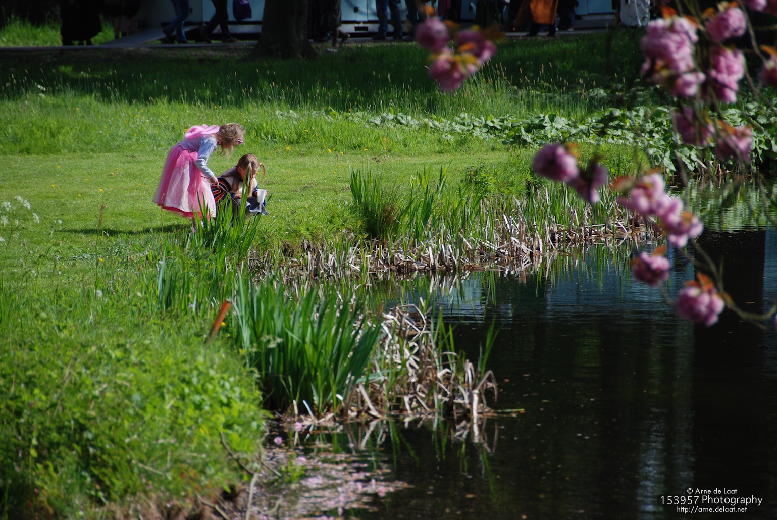 DSC_12099    070421 103727